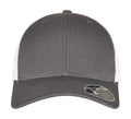 Flexfit 110 Mesh 2-Tone Cap