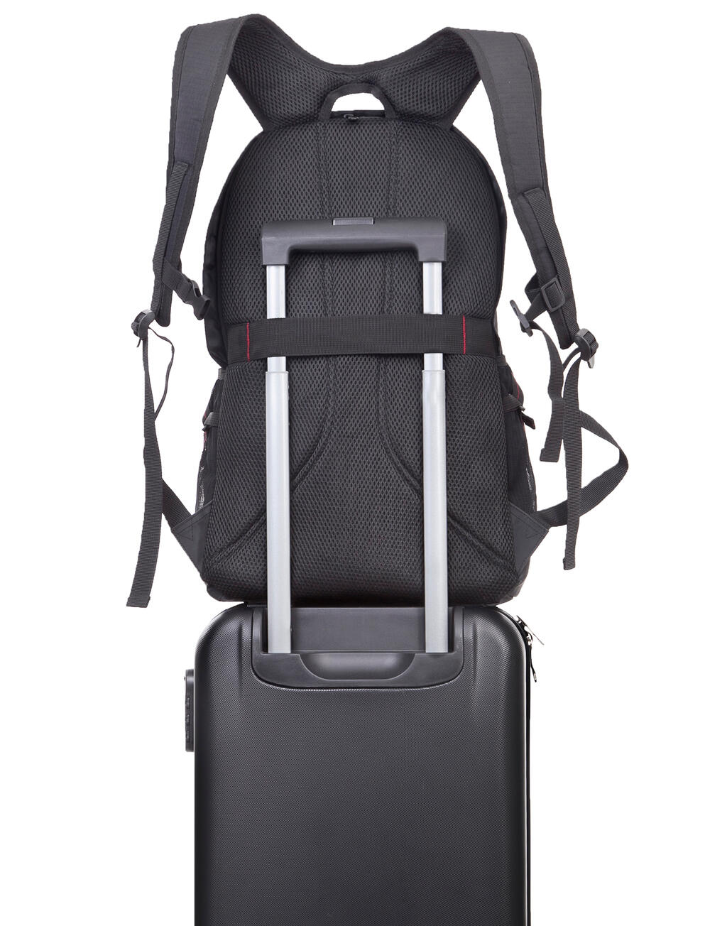 Shugon Leipzig Daily Laptop Backpack