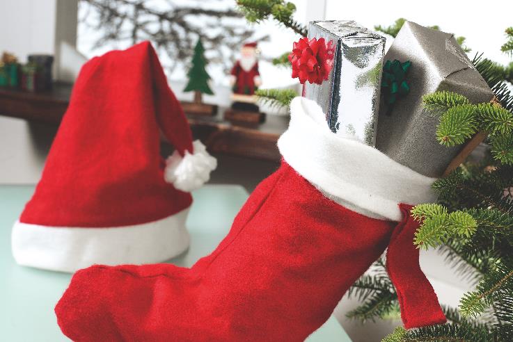 BONO – Christmas hat – item ambiant picture