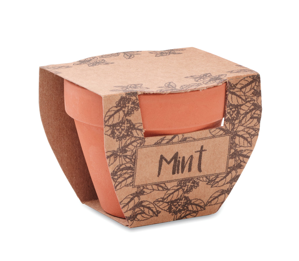 MINT POT – Terracotta pot mint seeds – item picture open