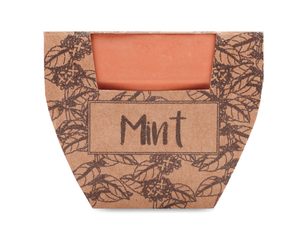MINT POT – Terracotta pot mint seeds – item picture side