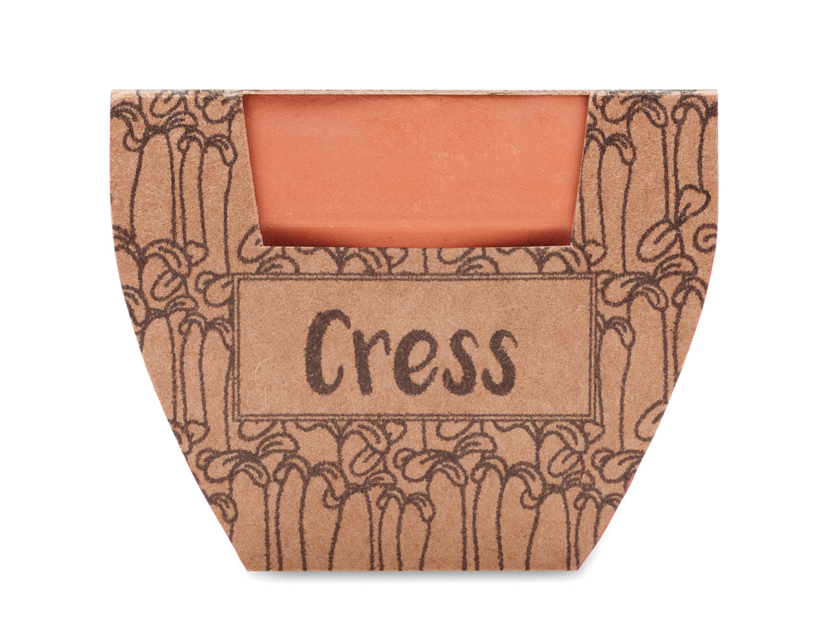 CRESS POT – Terracotta pot cress seeds – item picture side