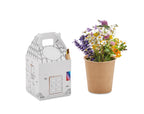 FULLHOUSE – House shaped seeds grow set – item picture side