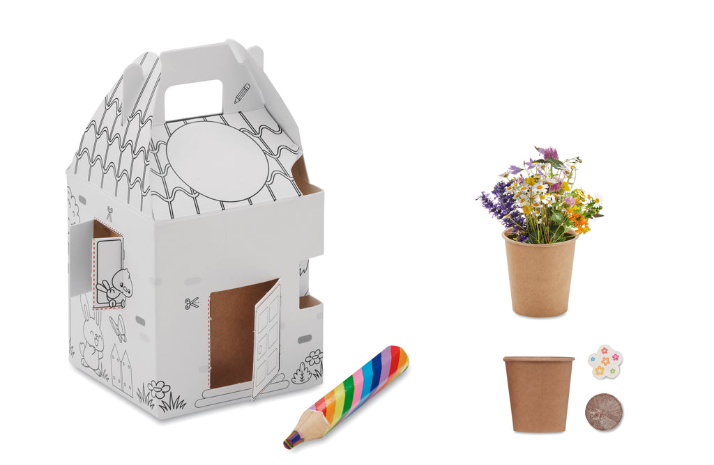 FULLHOUSE – House shaped seeds grow set – Multicolour