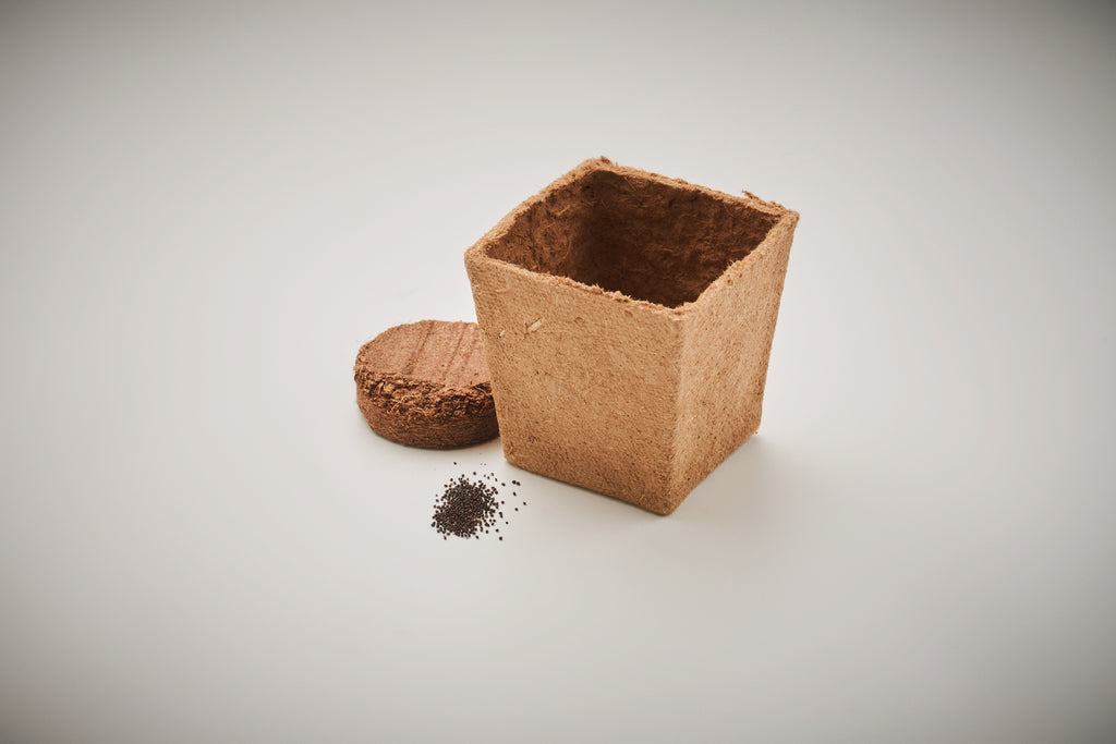 MINT KIT – Mint seeds growing kit – item detail picture