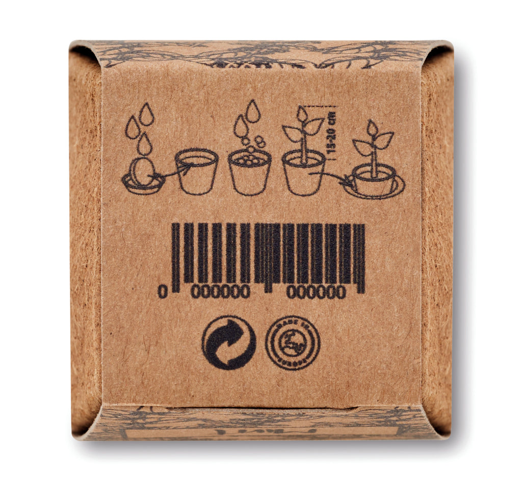 MINT KIT – Mint seeds growing kit – item picture 1
