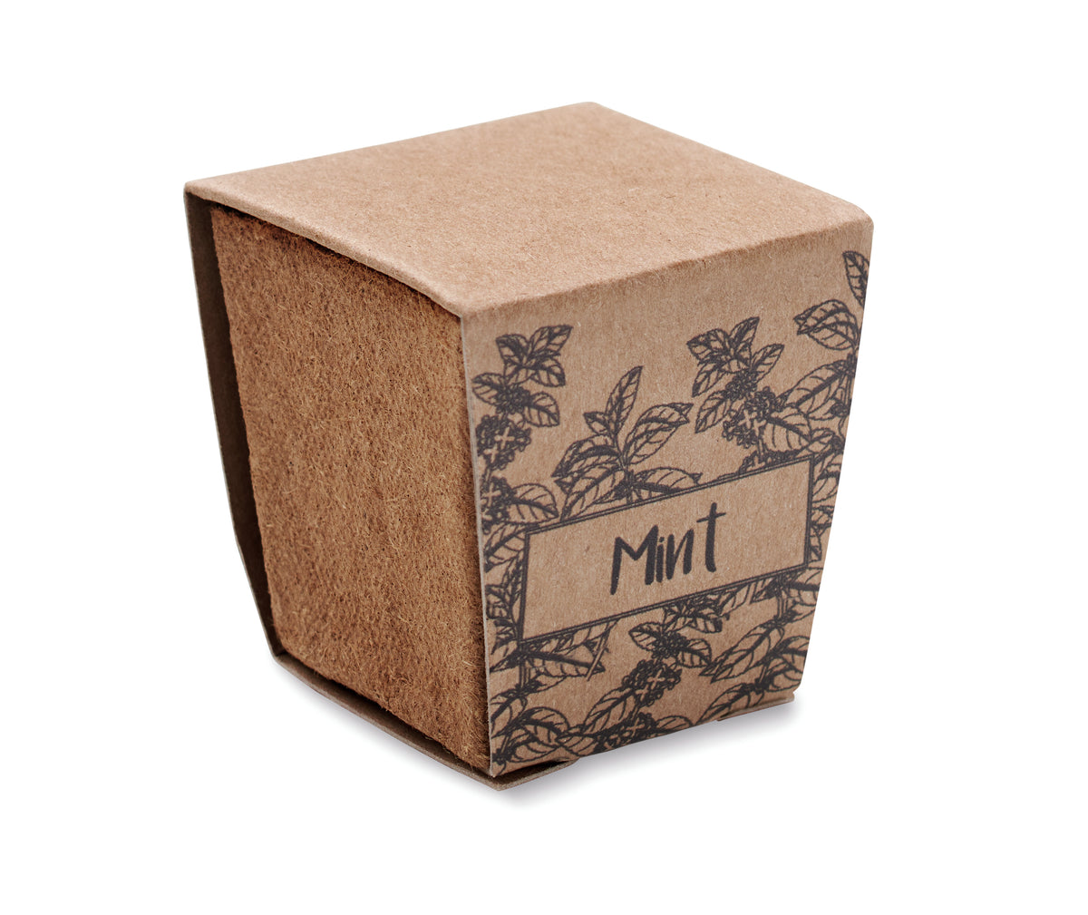 MINT KIT – Mint seeds growing kit – item picture 3