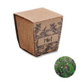 MINT KIT – Mint seeds growing kit – Beige