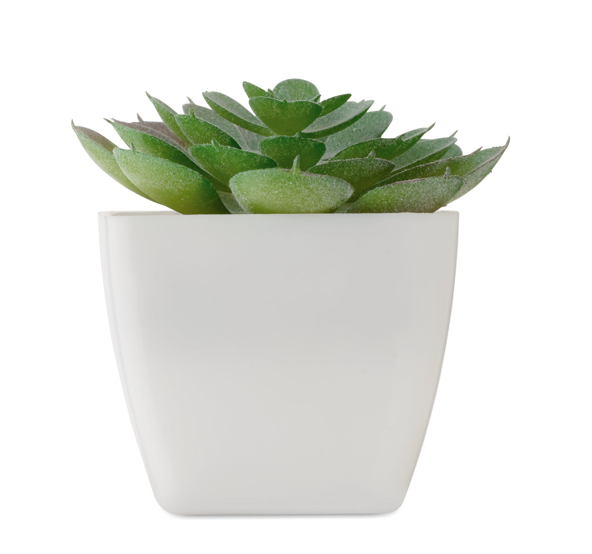 ARTIECHE – Mini artificial plant – item picture back