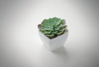 ARTIECHE – Mini artificial plant – item detail picture