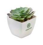 ARTIECHE – Mini artificial plant – item picture printed