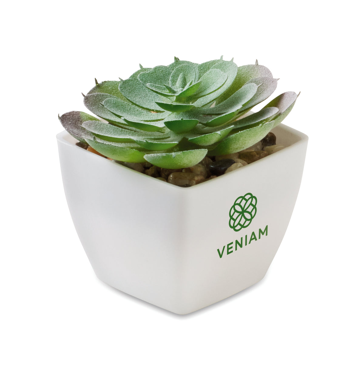ARTIECHE – Mini artificial plant – item picture printed