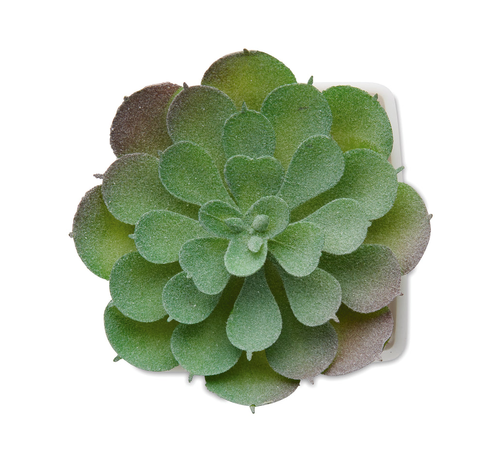 ARTIECHE – Mini artificial plant – item picture side