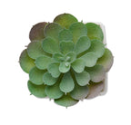 ARTIECHE – Mini artificial plant – item picture side