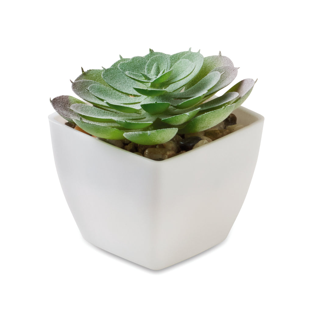 ARTIECHE – Mini artificial plant – White