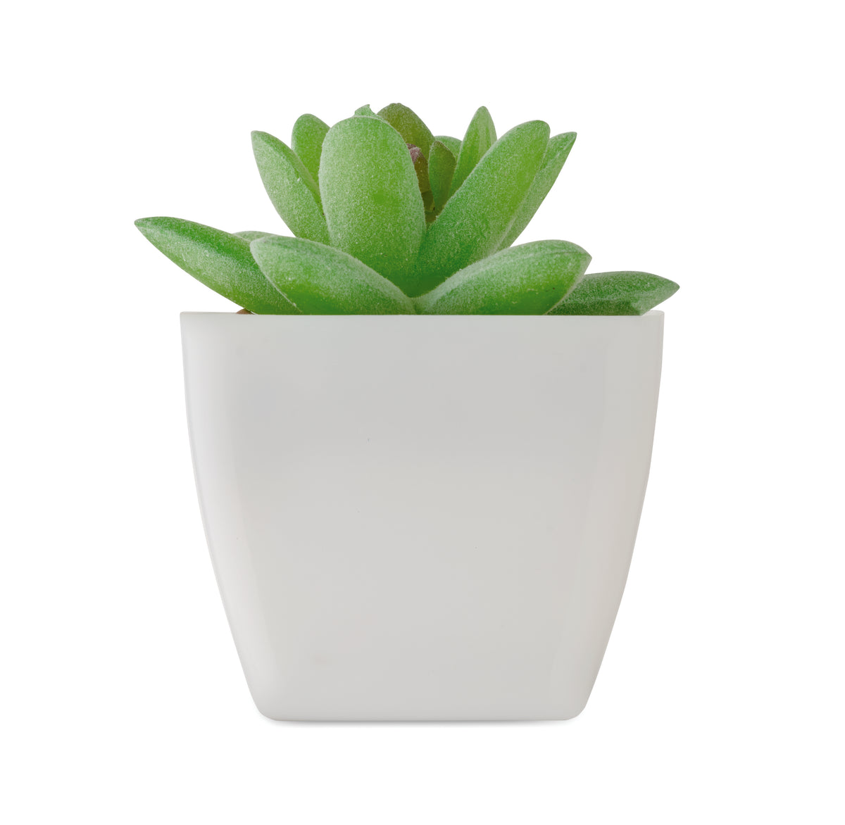 ARTIGRAP – Mini artificial plant – item picture back