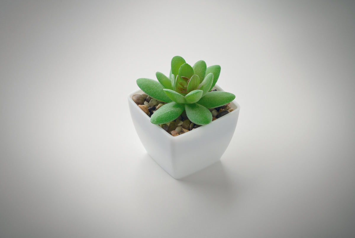 ARTIGRAP – Mini artificial plant – item detail picture