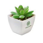 ARTIGRAP – Mini artificial plant – item picture printed