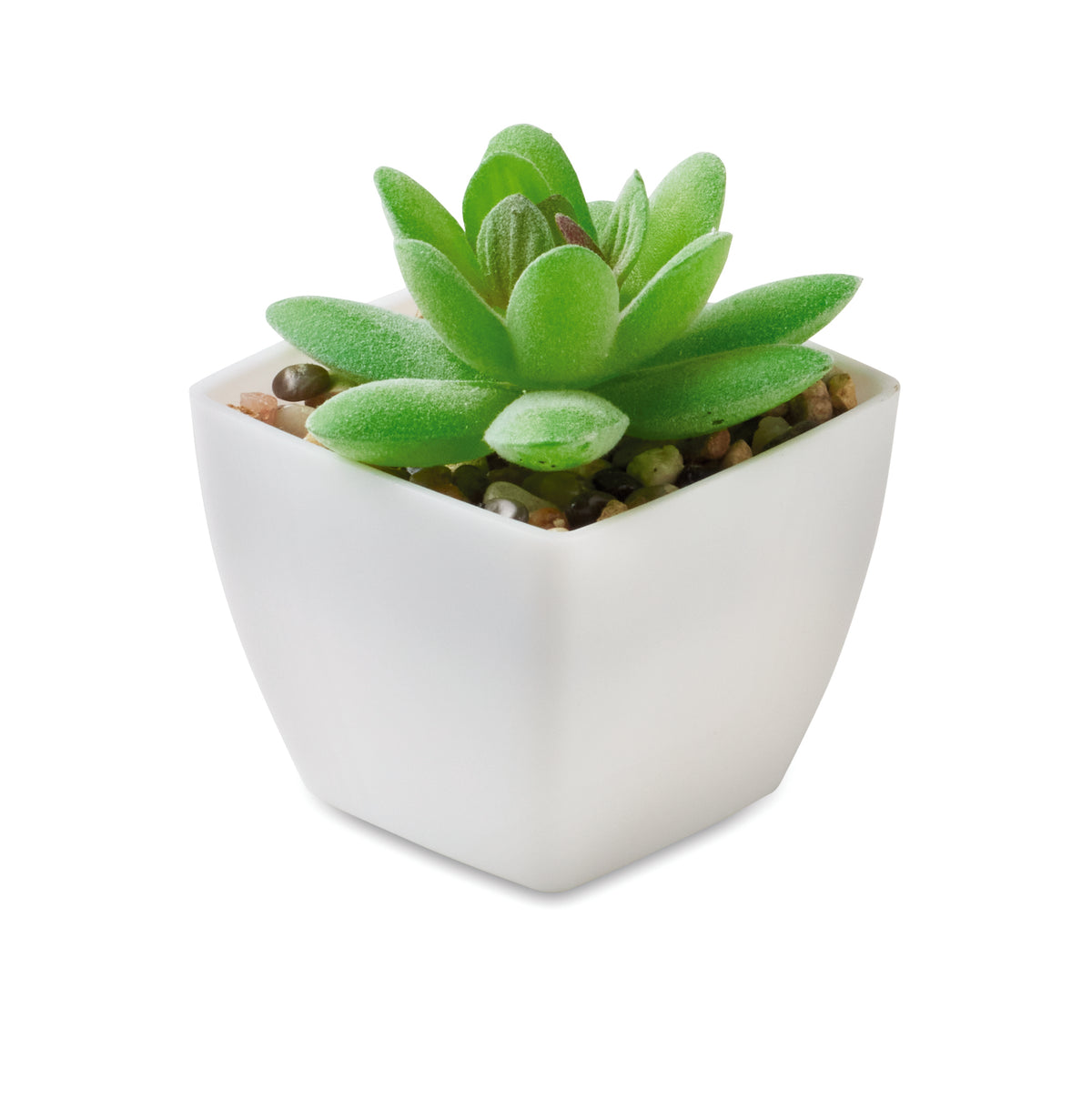 ARTIGRAP – Mini artificial plant – White