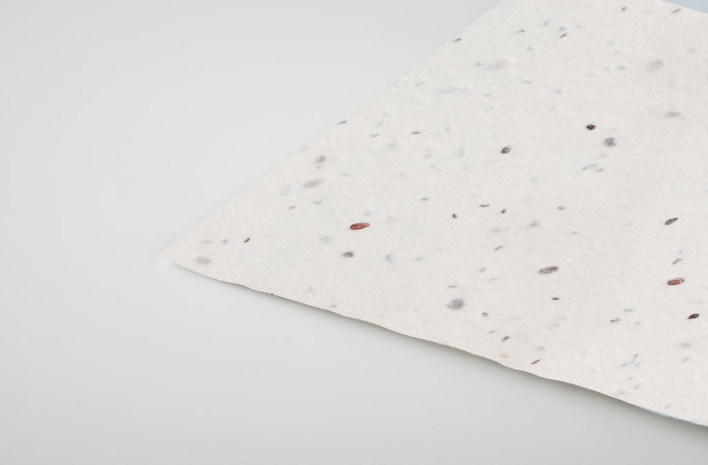 ASIDA – Wildflower seed business card. – item detail picture
