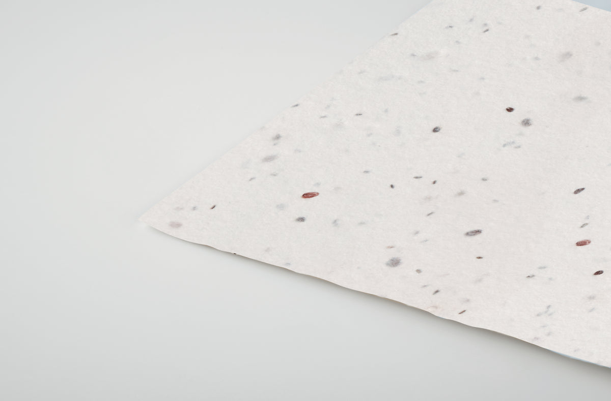 ASIDA – Wildflower seed business card. – item detail picture