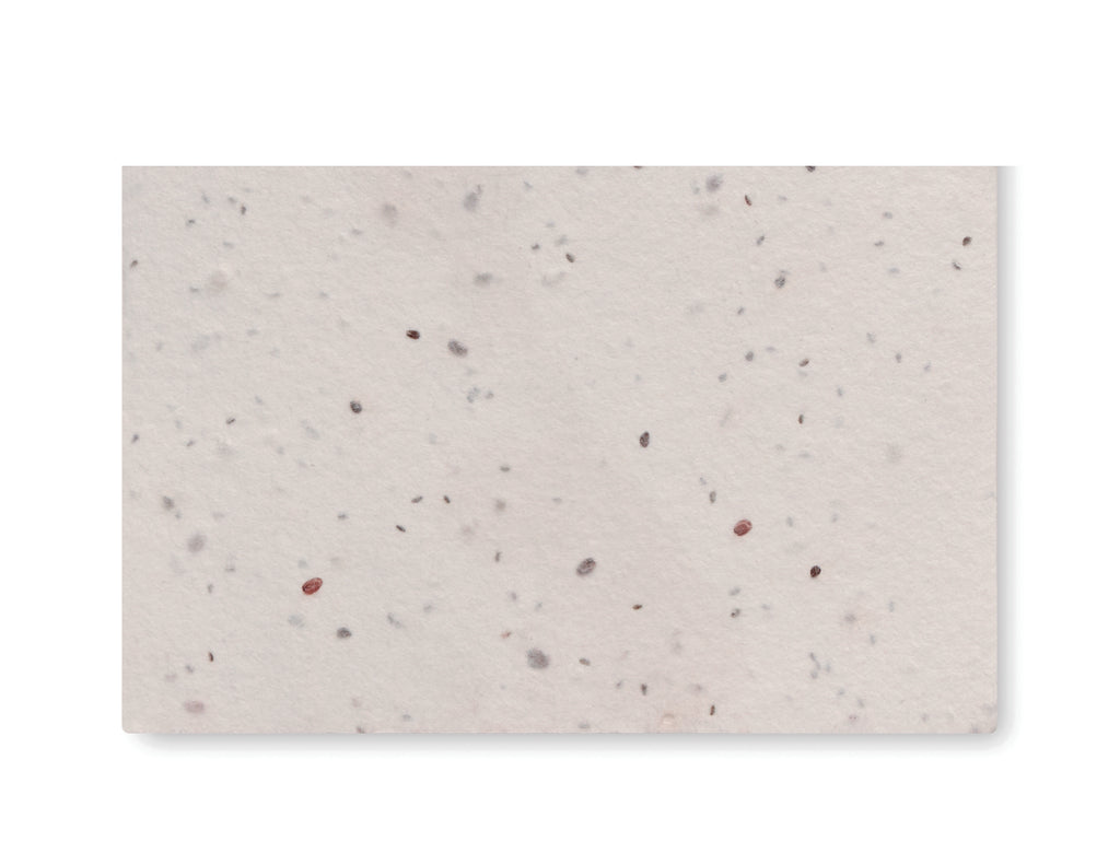 ASIDA – Wildflower seed business card. – White