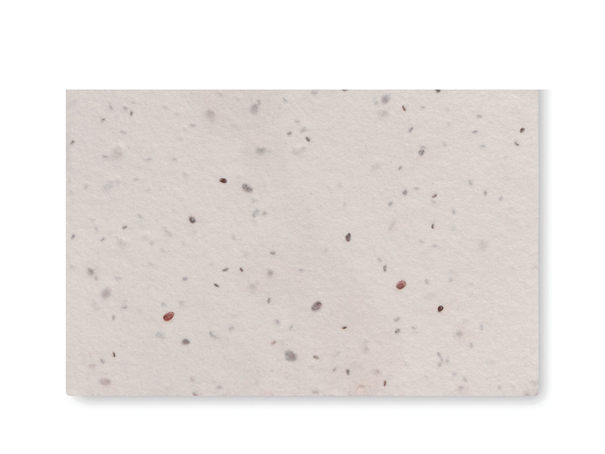 ASIDA – Wildflower seed business card. – White