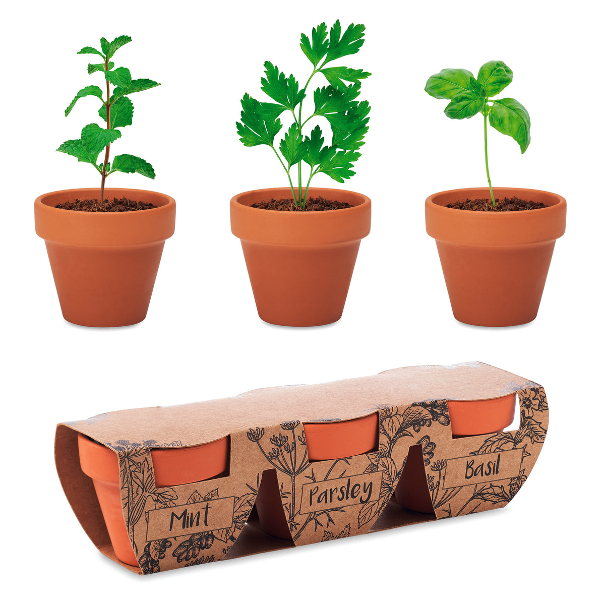 FLOWERPOT – Terracotta 3 herb pot set – Wood