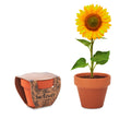 SUNFLOWER – Terracotta pot 'sunflower' – Wood