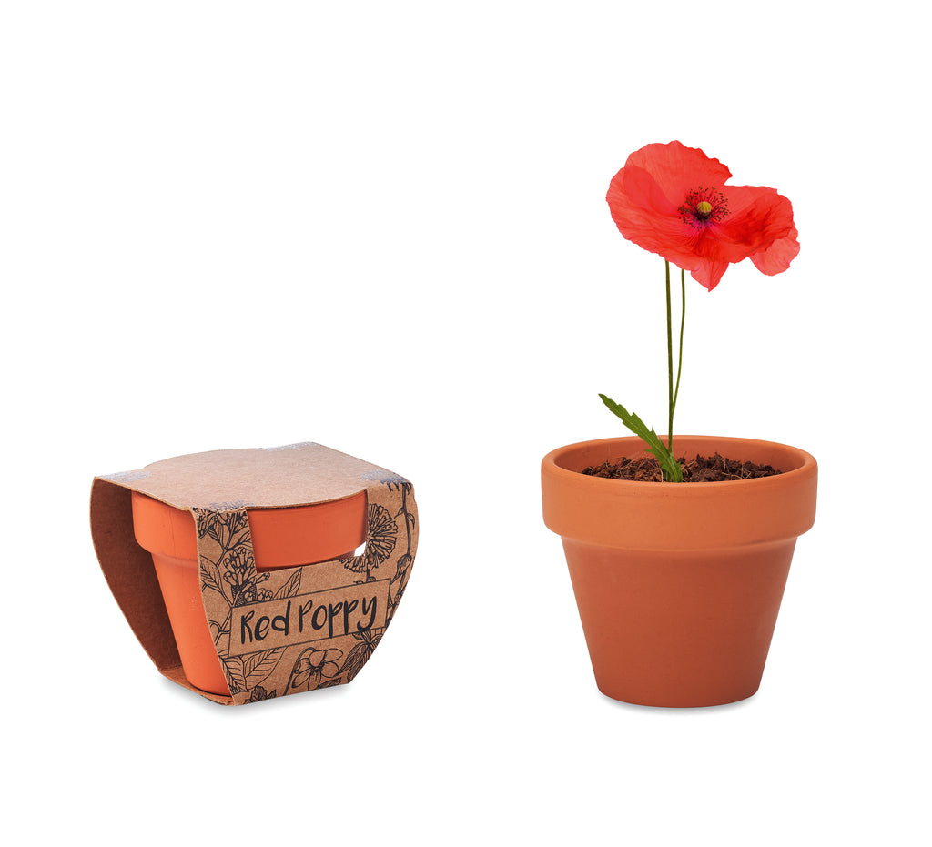 RED POPPY – Terracotta pot 'poppy' – Wood