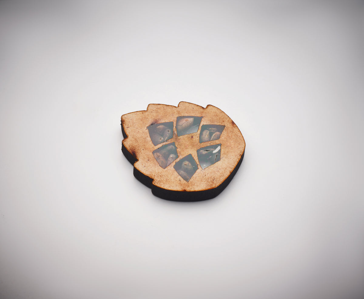 GROWTREE™ – Pine tree set – item detail picture