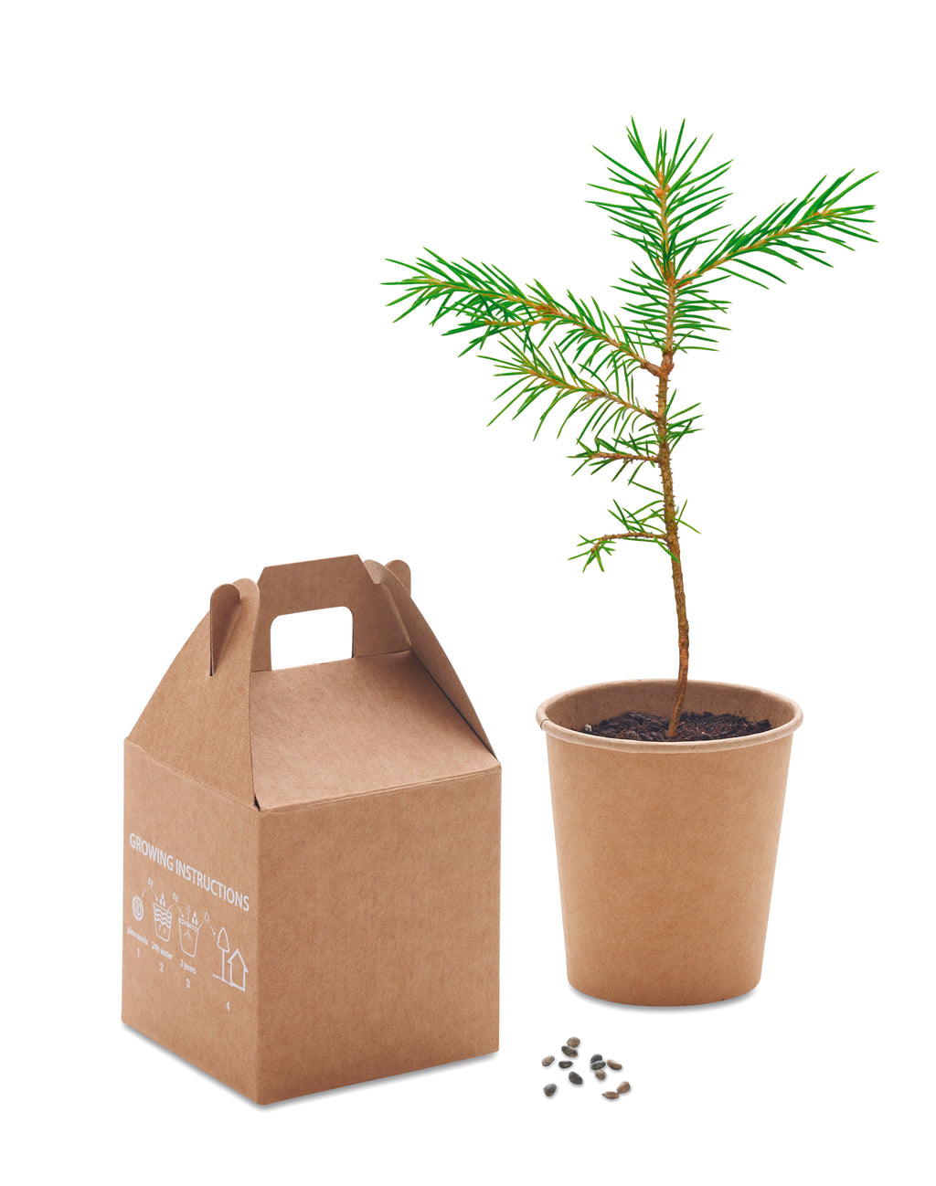 GROWTREE™ – Pine tree set – item picture side