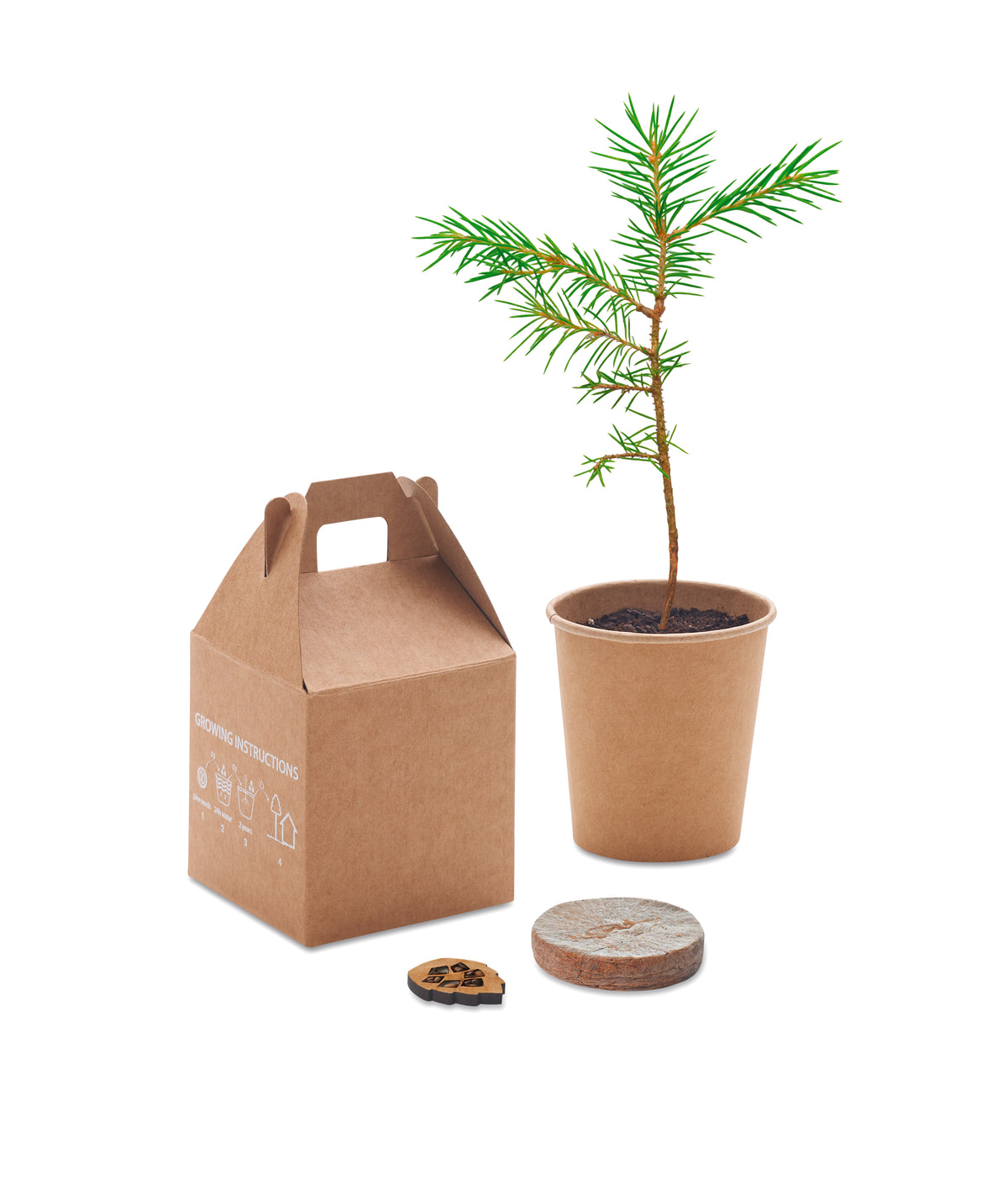 GROWTREE™ – Pine tree set – item picture top