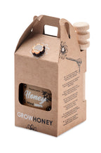 DAUBER – Wildflower honey jar set 50gr – item picture side