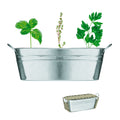 MIX SEEDS – Zinc tub with 3 herbs seeds – Matt Silver