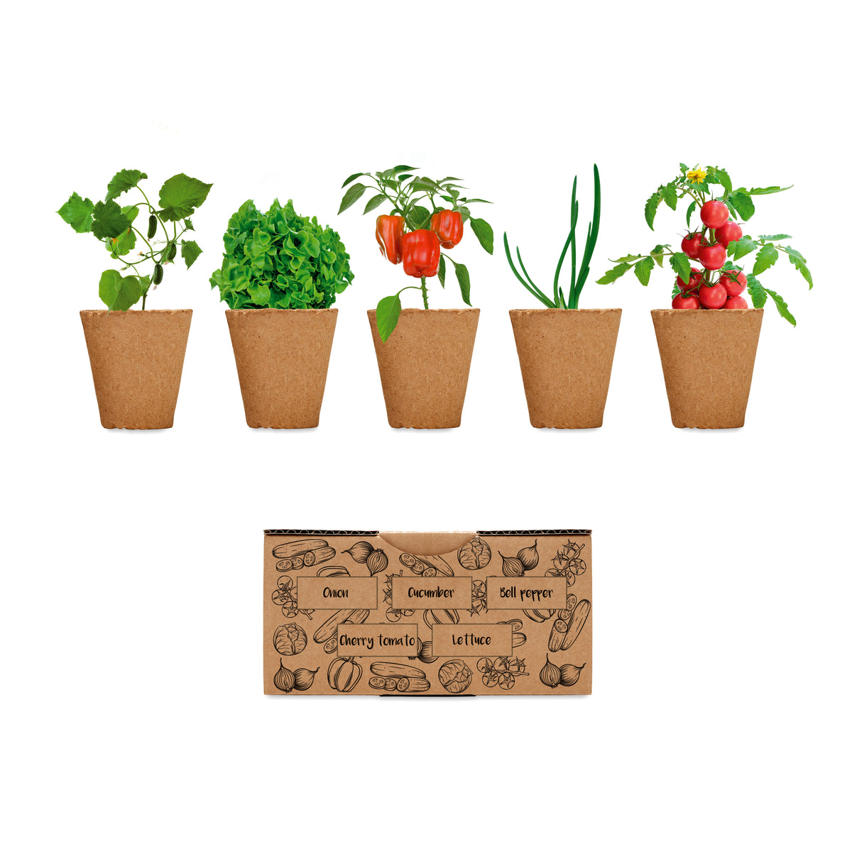 SALAD – Salad growing kit – Beige