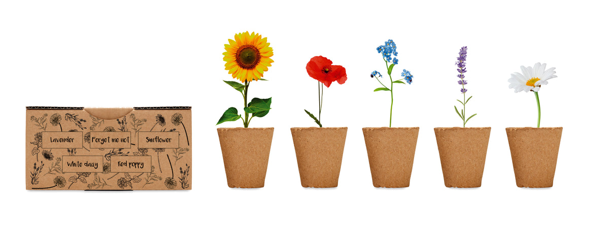 FLOWERS – Flowers growing kit – item picture open