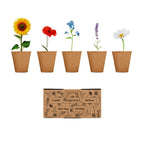 FLOWERS – Flowers growing kit – Beige