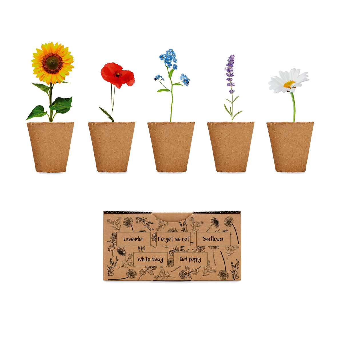 FLOWERS – Flowers growing kit – Beige