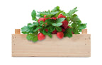 STRAWBERRY – Strawberry kit in wooden crate – item picture top