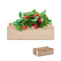 STRAWBERRY – Strawberry kit in wooden crate – Wood