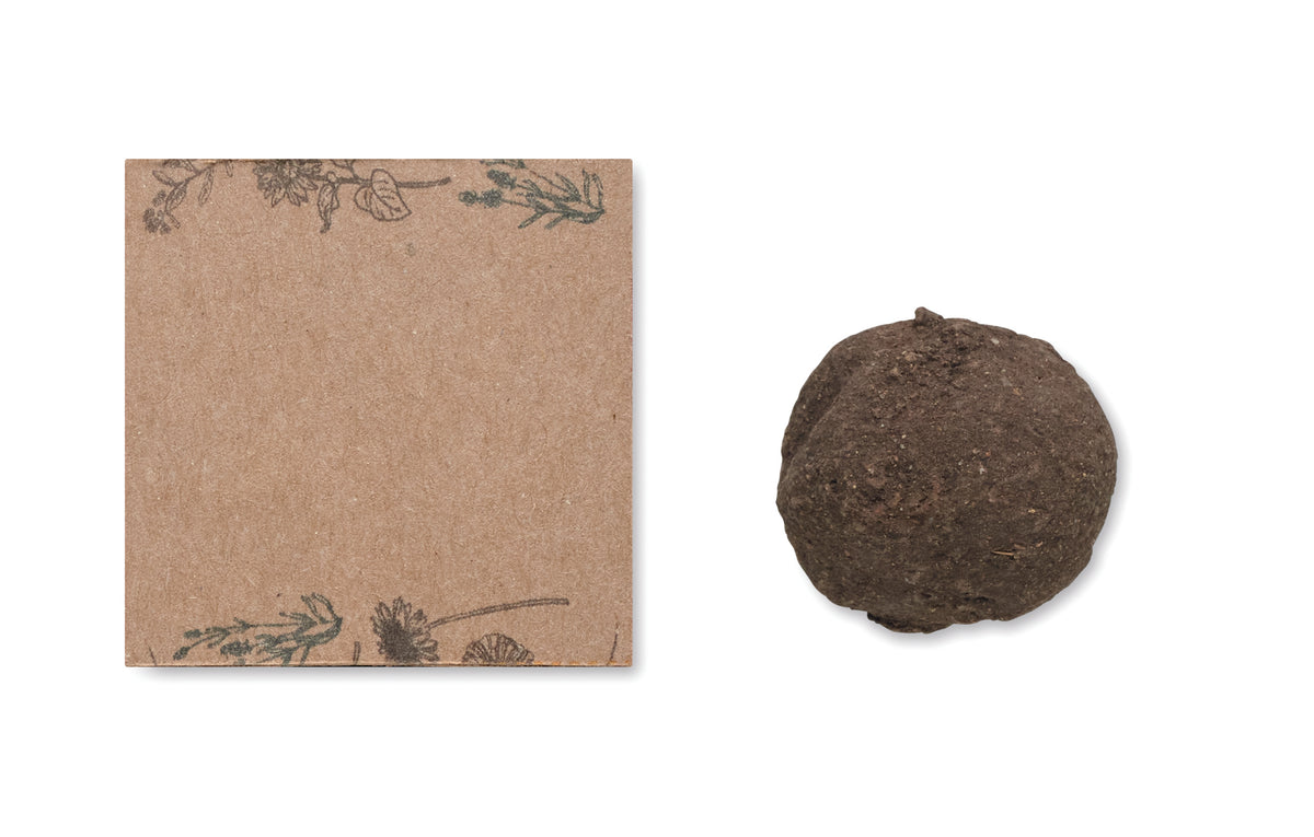 BOMBI – Seed ball growing kit – item picture back