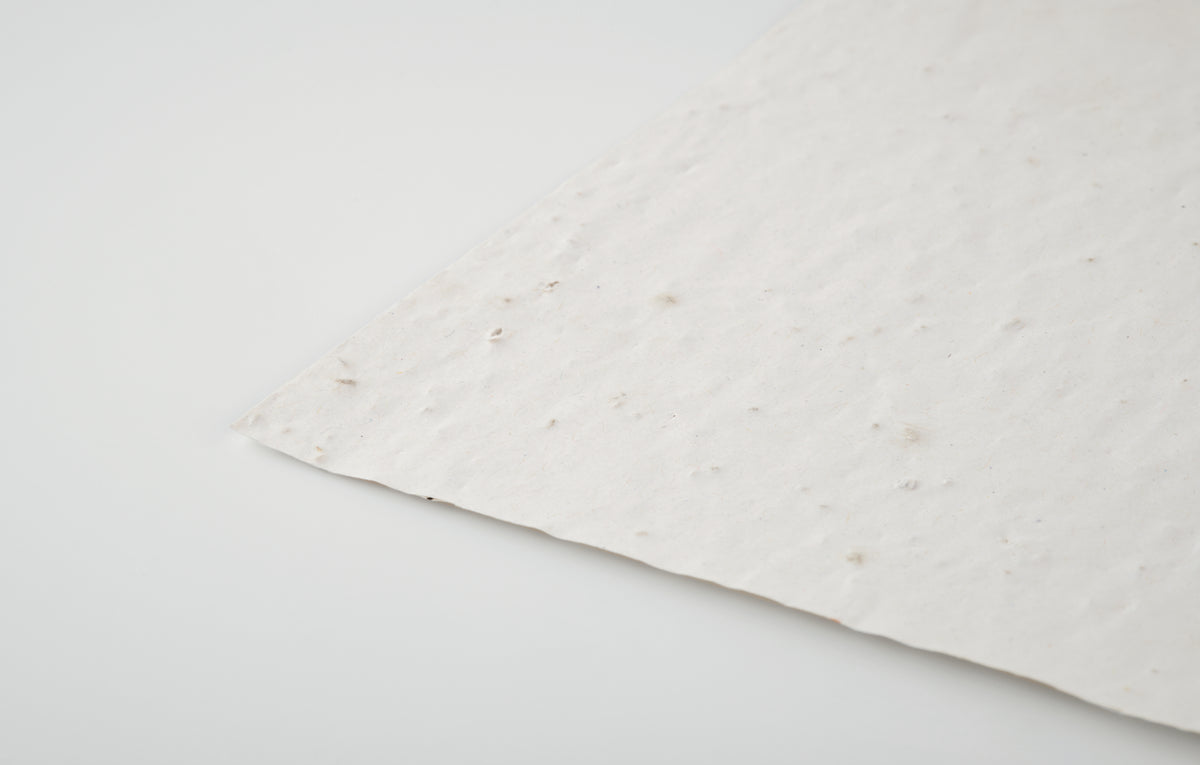 ASIDI – A4 wildflower seed paper sheet – item picture top