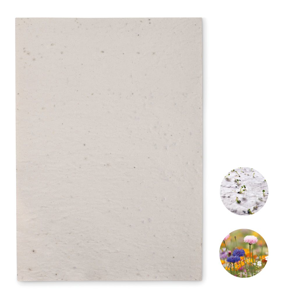 ASIDI – A4 wildflower seed paper sheet – White