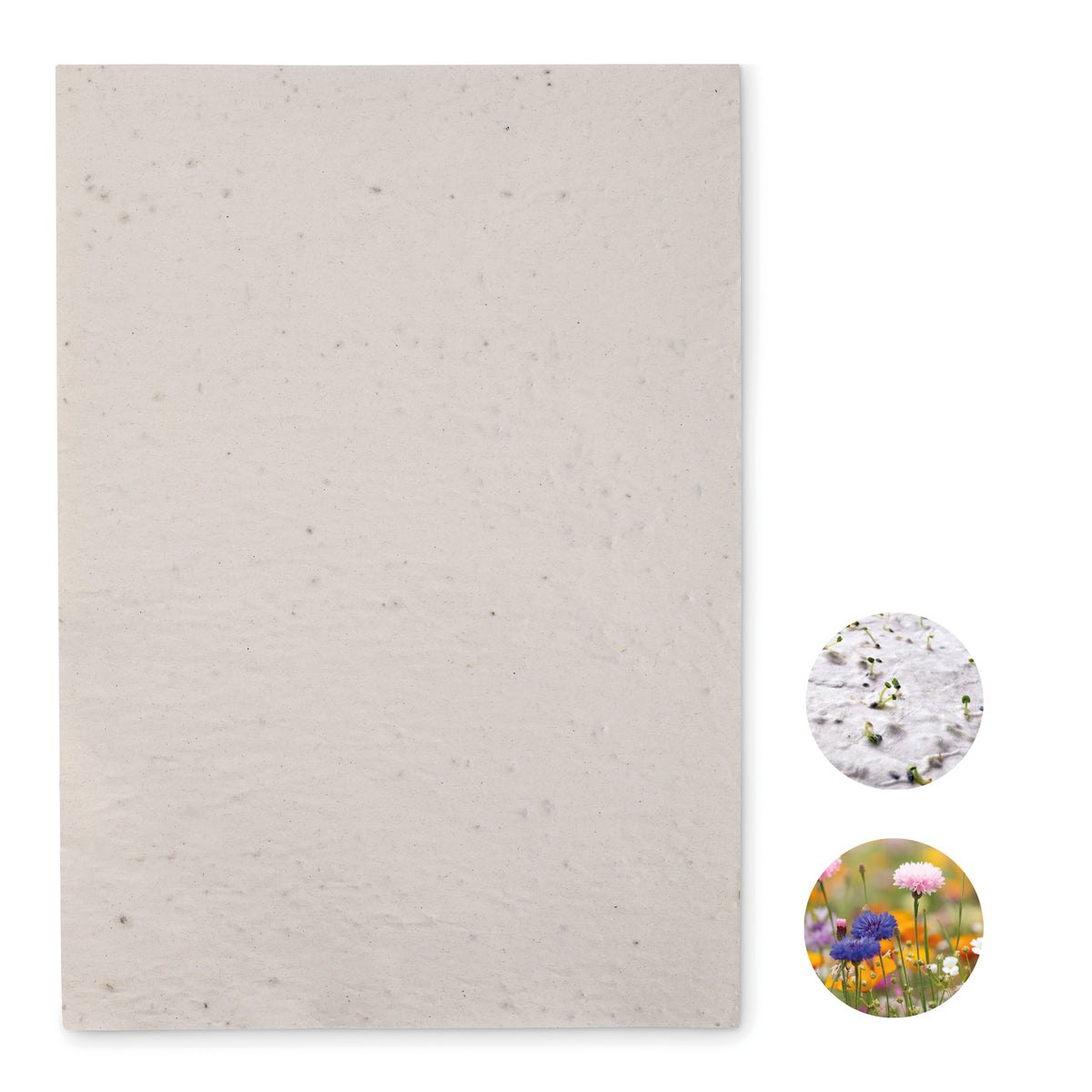 ASIDI – A4 wildflower seed paper sheet – White