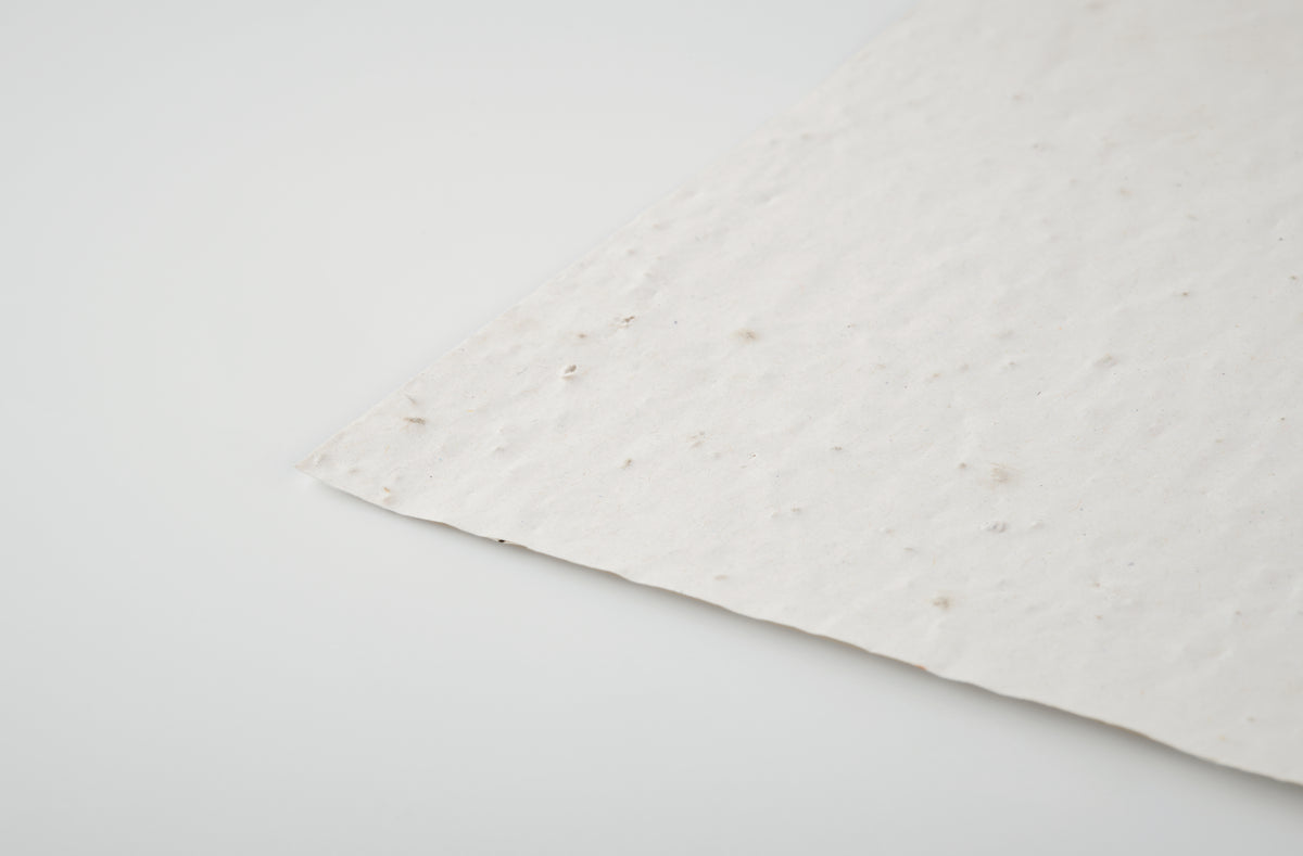 ASIDE – A5 wildflower seed paper sheet – item detail picture