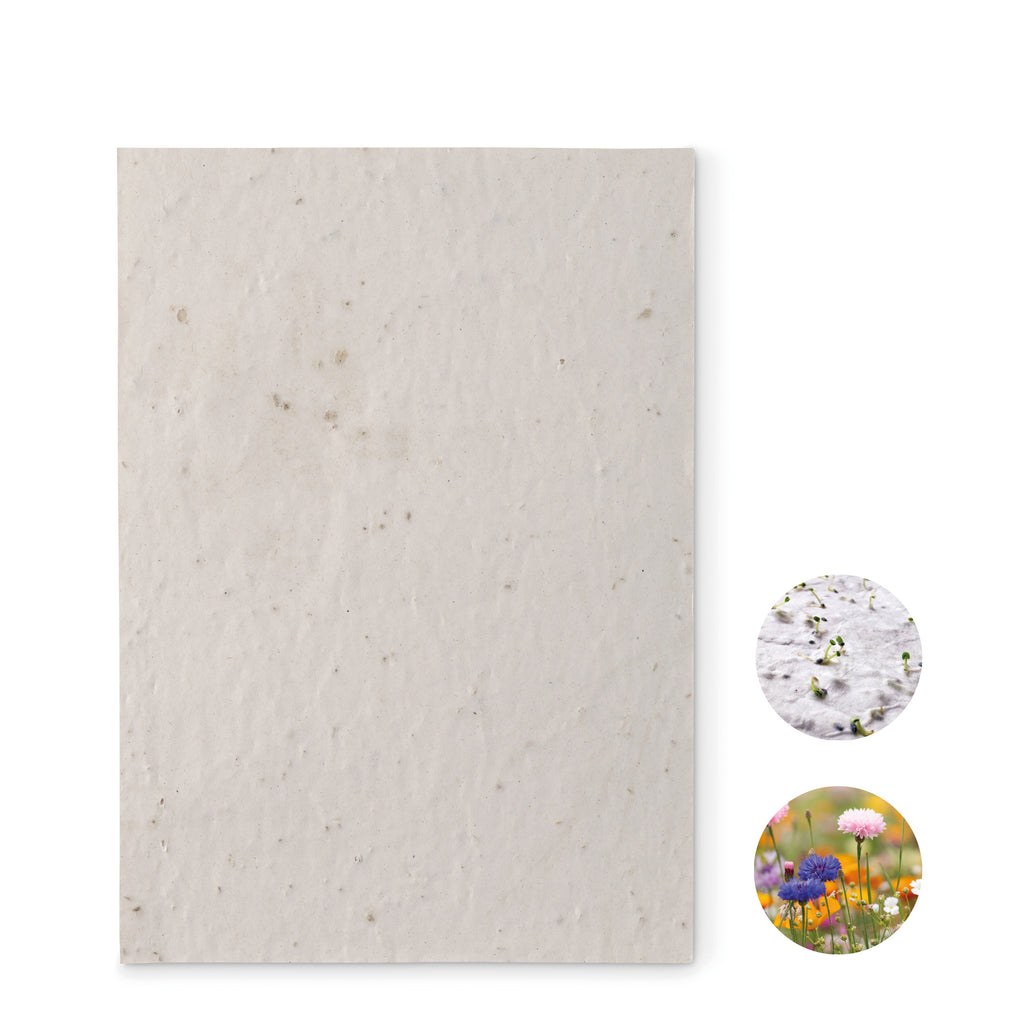 ASIDE – A5 wildflower seed paper sheet – White