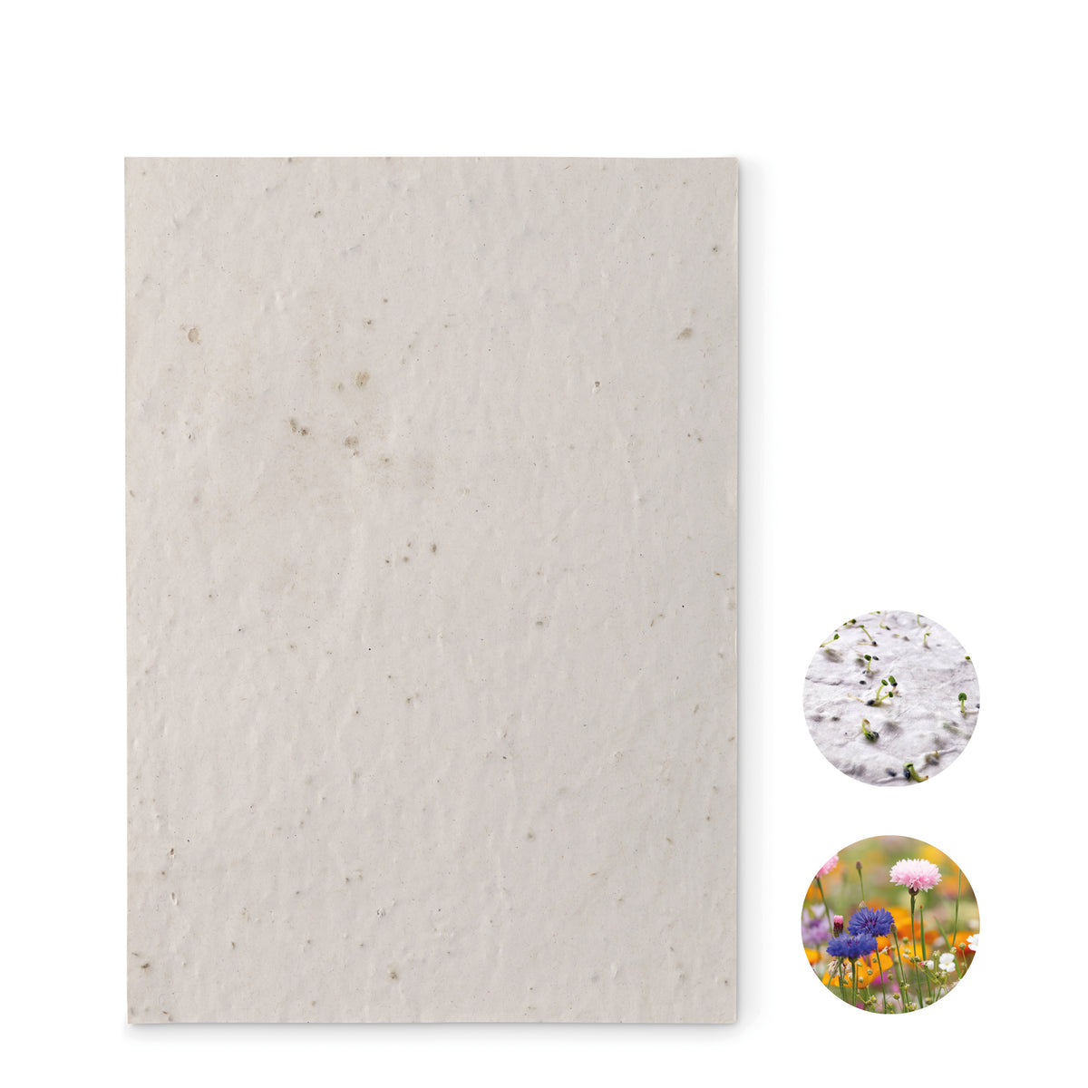 ASIDE – A5 wildflower seed paper sheet – White