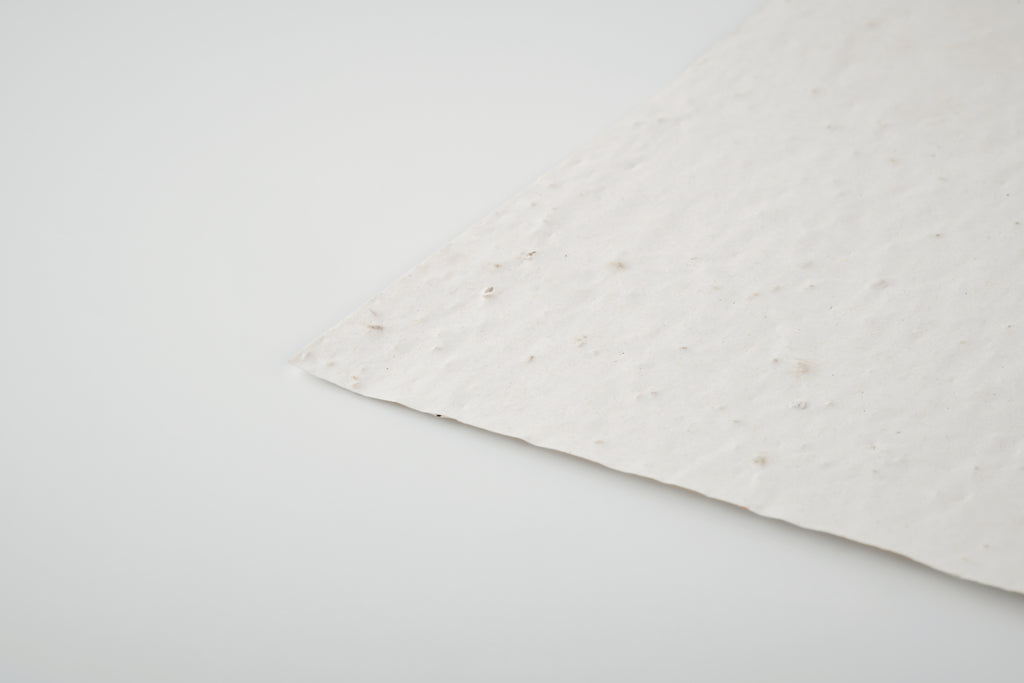 ASIDO – A6 wildflower seed paper sheet – item detail picture