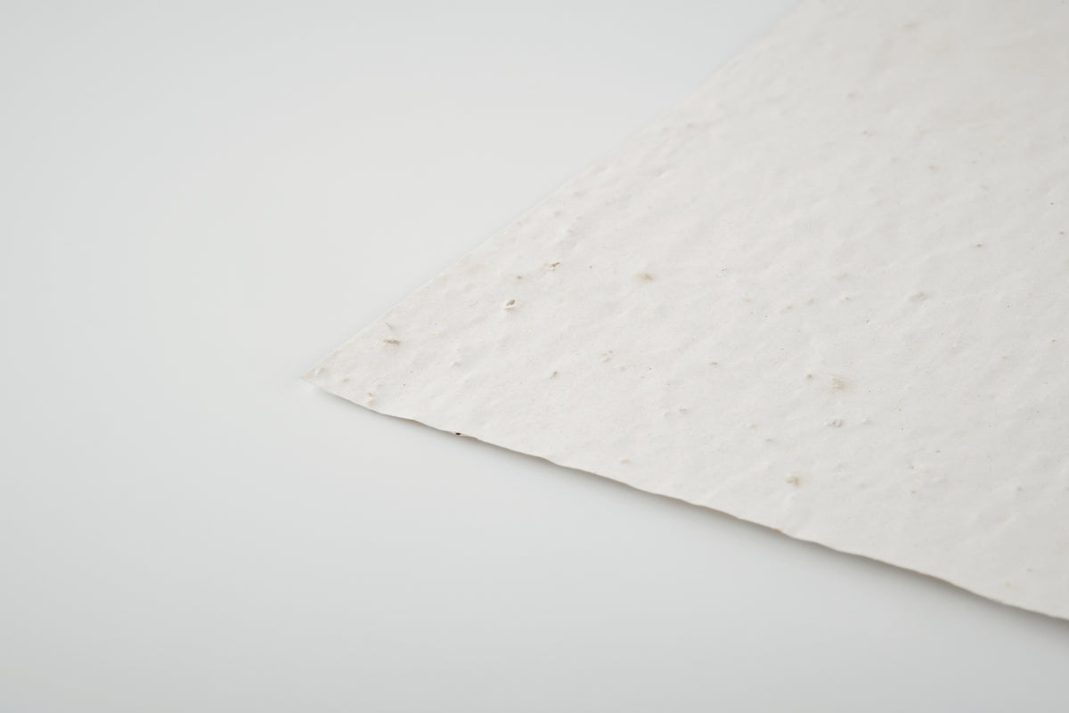 ASIDO – A6 wildflower seed paper sheet – item detail picture